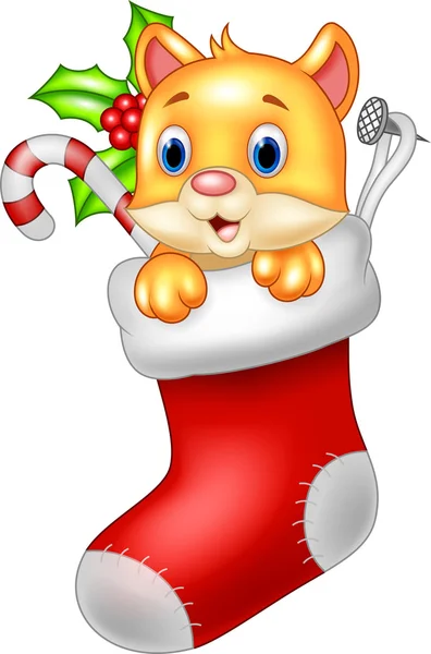 Cute cartoon cat in the Santa Claus sock — Stock Vector