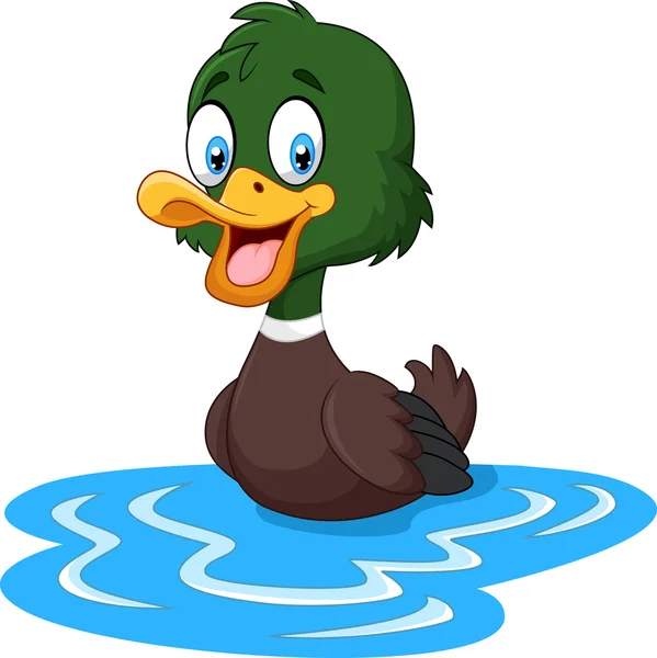 Dibujos animados patos flota en el agua — Vector de stock