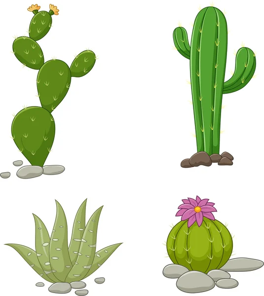 Mengumpulkan ilustrasi kaktus - Stok Vektor