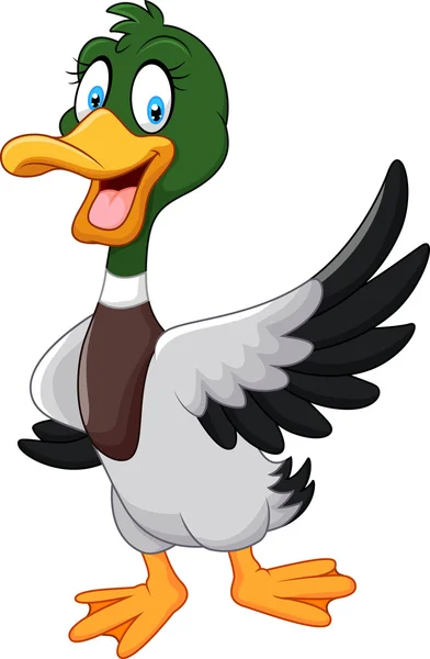 Cartoon mallard duck zwaaien geïsoleerd op witte achtergrond — Stockvector