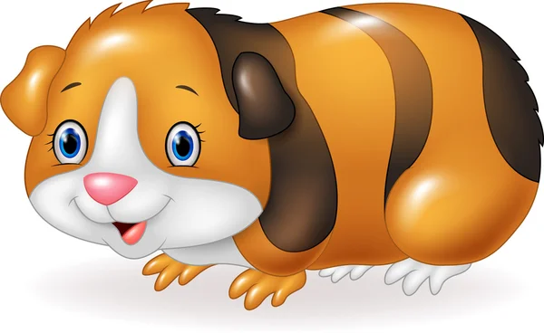 Cerdo de Guinea de dibujos animados aislado sobre fondo blanco — Vector de stock