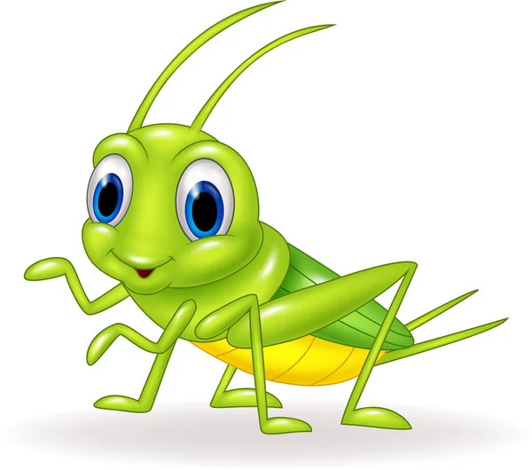 Cartoon cute green cricket isolated on white background — Stock Vector