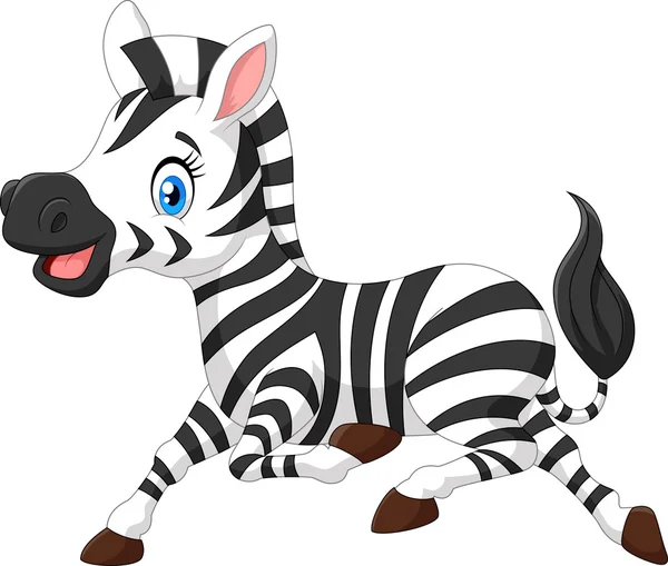 Happy baby zebra kör — Stock vektor