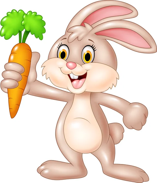 Lindo conejito sosteniendo zanahoria aislada sobre fondo blanco — Vector de stock