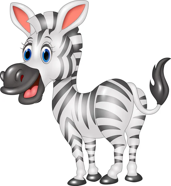 Cartoon cute zebra isolated on white background — Stock Vector