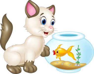Beyaz arka plan üzerinde izole Balık yüzme ile oynamaya meraklı kedi