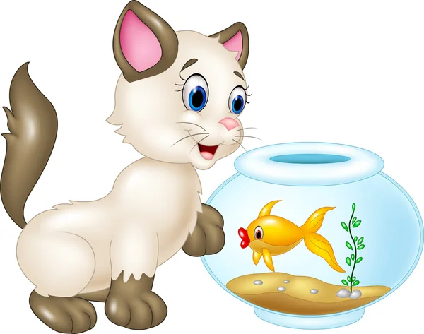 Gato curioso brincando com peixes de natação isolados em fundo branco —  Vetores de Stock