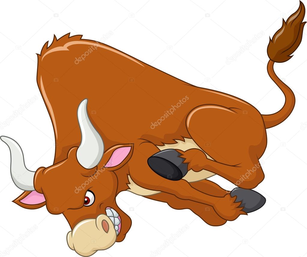Cartoon angry bull is attacking isolated on white background