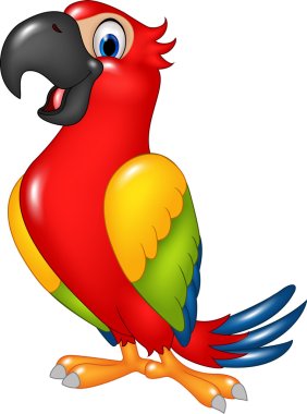 Cartoon funny parrot isolated on white background