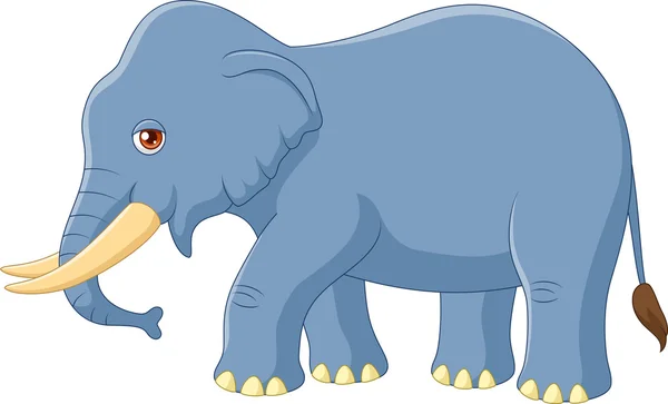 Mascota elefante de dibujos animados aislado sobre fondo blanco — Vector de stock