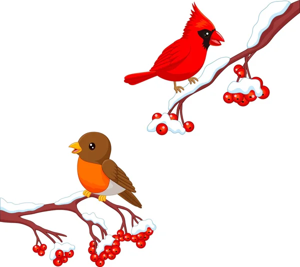 Lindo pájaro de dibujos animados robin y pájaro cardinal en el árbol de bayas — Vector de stock