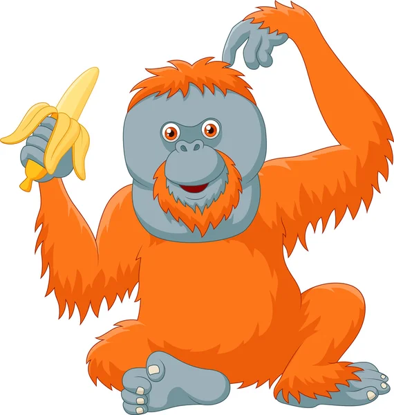 Desenhos animados orangotango comer banana isolada no fundo branco —  Vetores de Stock