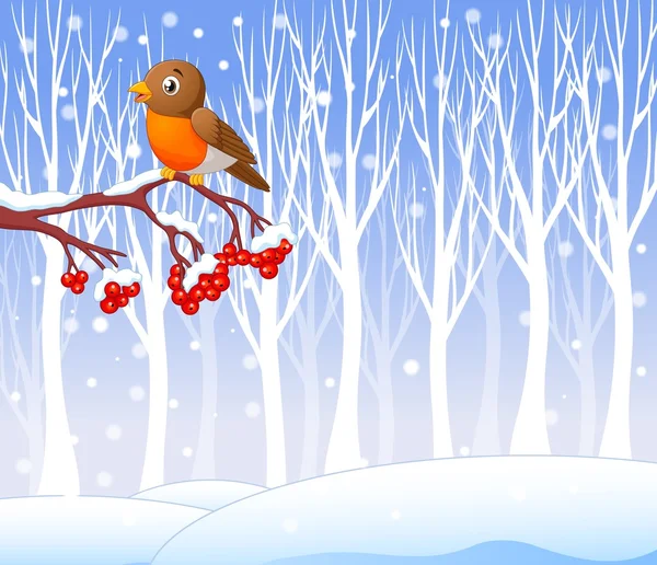 Dibujos animados divertido pájaro petirrojo en el árbol de bayas con fondo de invierno — Archivo Imágenes Vectoriales