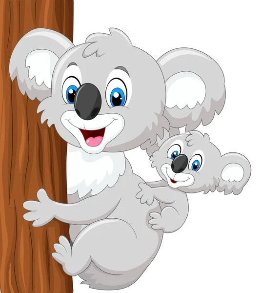 Cartoon baby koala on mother's back embracing tree — Stock Vector