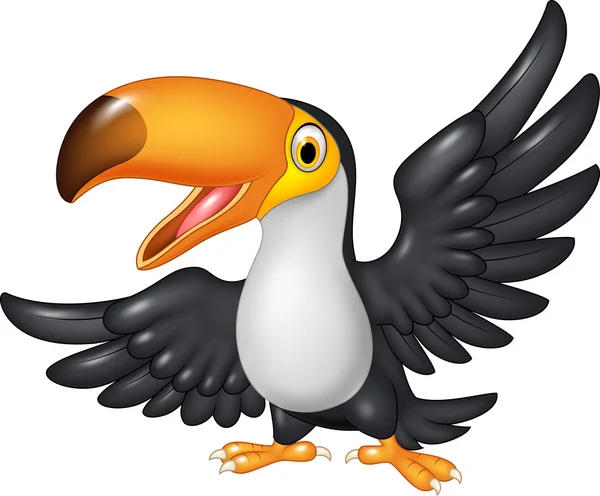 16 051 Toucan Vectors Royalty Free Vector Toucan Images Depositphotos