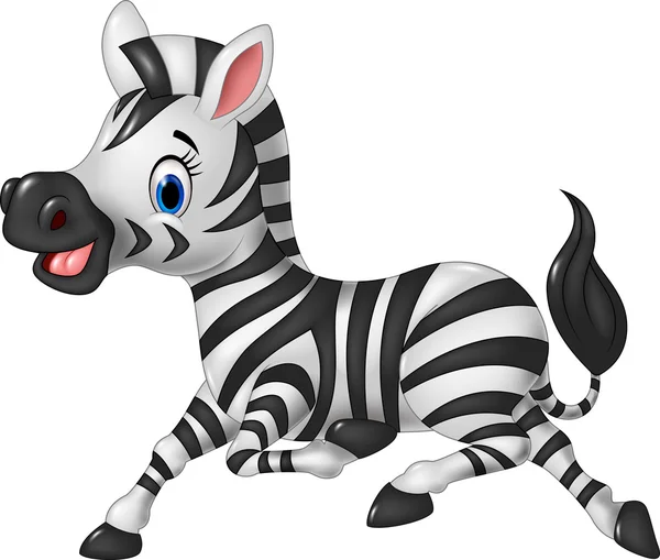 Cartoon funny zebra running isolated on white background — Stock Vector