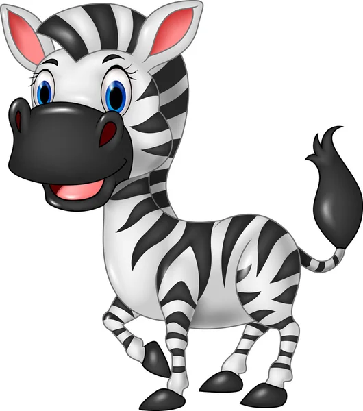 Desenhos animados engraçado zebra posando isolado no fundo branco — Vetor de Stock