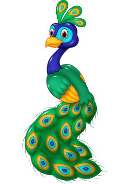 Beyaz arka planda izole edilmiş şirin tavus kuşu çizgi filmi.