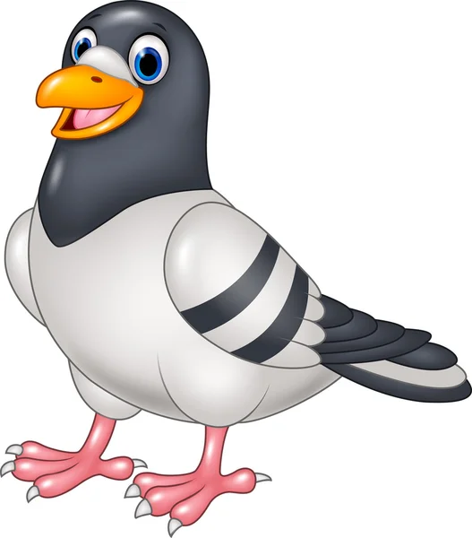 Dibujos animados divertida paloma aislada sobre fondo blanco — Vector de stock