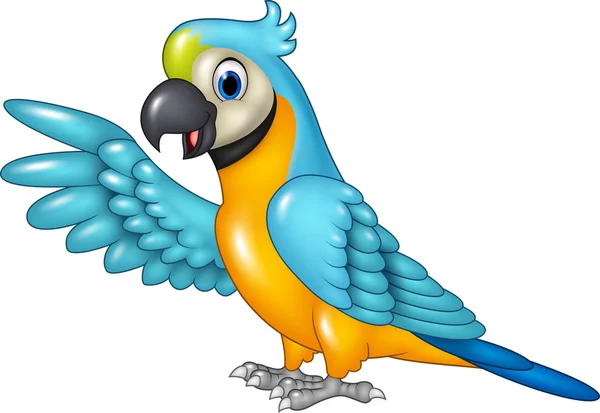 Cartone animato divertente macaw presentando isolato su sfondo bianco — Vettoriale Stock