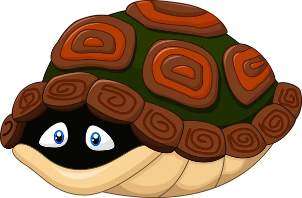 Schattige schildpadden huiden in zijn schelp — Stockvector