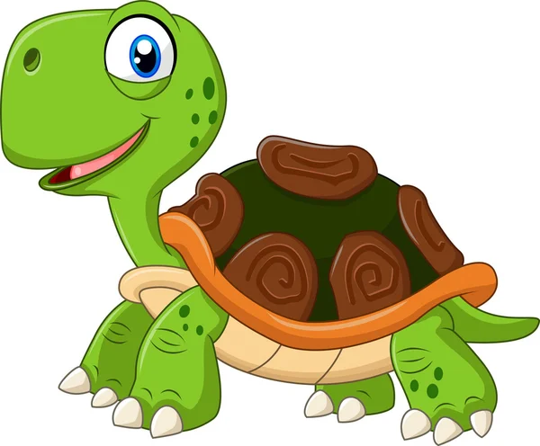 Dibujos animados tortuga divertida aislada sobre fondo blanco — Vector de stock