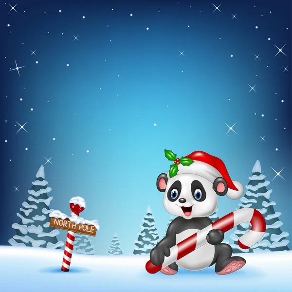 Cartoon funny panda sitting with a north pole wooden sign — Stock Vector