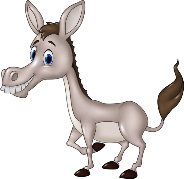 Dibujos animados burro divertido aislado sobre fondo blanco — Vector de stock