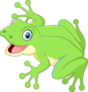 Beyaz arka plan üzerinde izole sevimli kurbağa