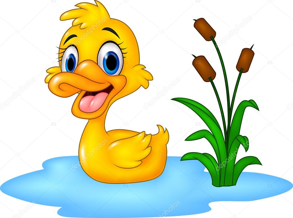Cartoon funny baby duck floats on water Stock Vector Image by ©tigatelu  #95331246