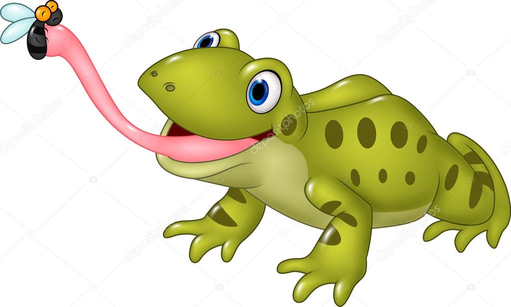 Cartoon funny frog catching fly isolated on white background