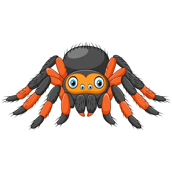 Rajzfilm pók tarantula piros térd. Veszélyes állat — Stock Vector