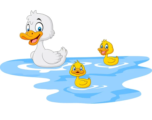Patos nadando imágenes de stock de arte vectorial | Depositphotos