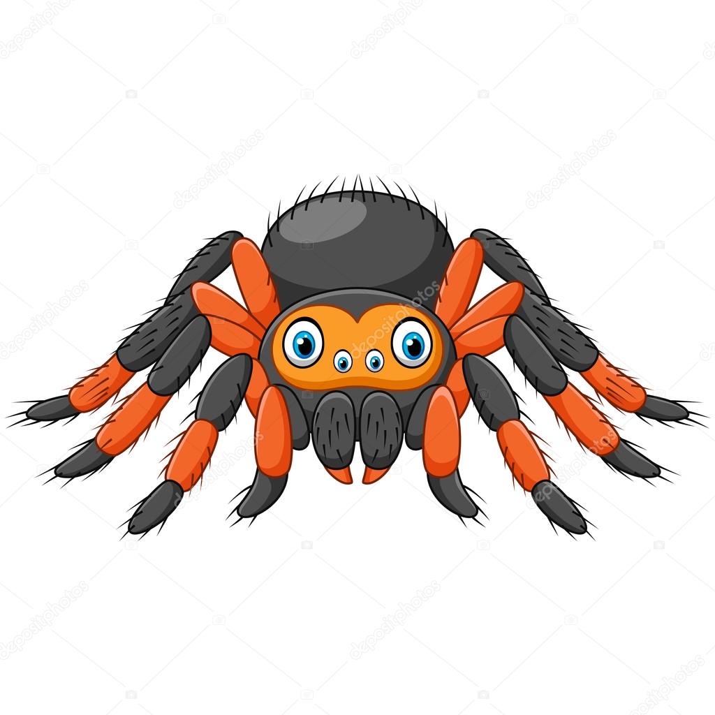 funny tarantula cartoon