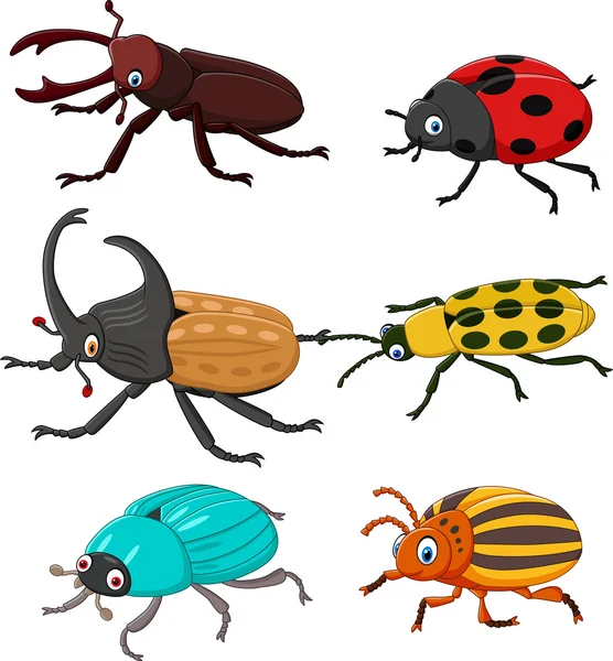 Cartoon funny beetle collection — Stock Vector