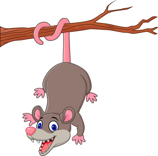 Cartoon funny Opossum on a Tree Branch — Stock Vector