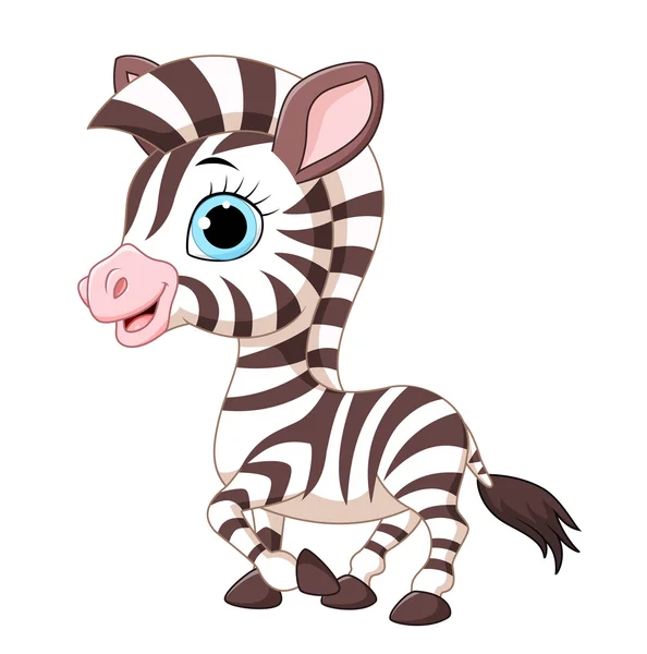 Bonita zebra posando isolado no fundo branco — Vetor de Stock