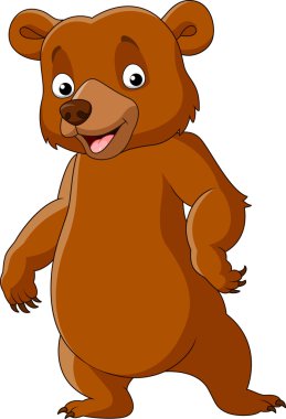 Beyaz arka planda yalnız duran sevimli ayı.