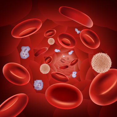 Illustration of red blood cells clipart