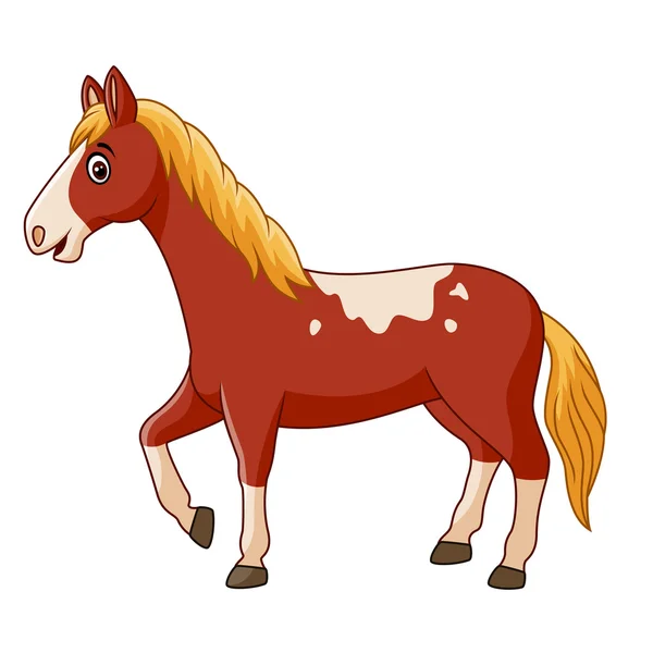 Beautiful horse posing isolated on white background — Stock Vector