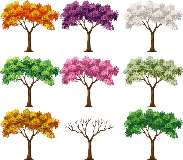 Gyönyörű színes fa illusztrációja — Stock Vector