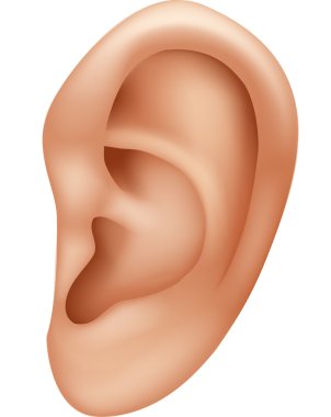 Illustration of ear human isolated on white background clipart