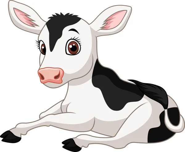 Dibujos animados divertida vaca bebé sentado aislado sobre fondo blanco — Vector de stock