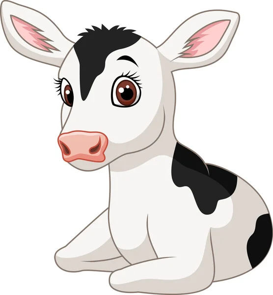 Söt baby cow isolerad på vit bakgrund — Stock vektor