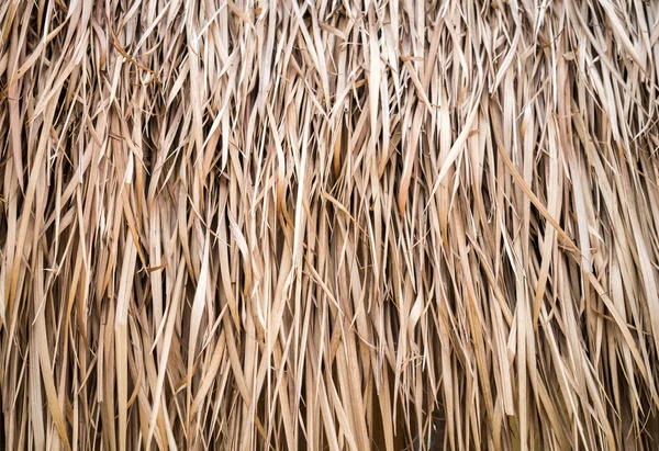 Torkade blad bakgrund — Stockfoto