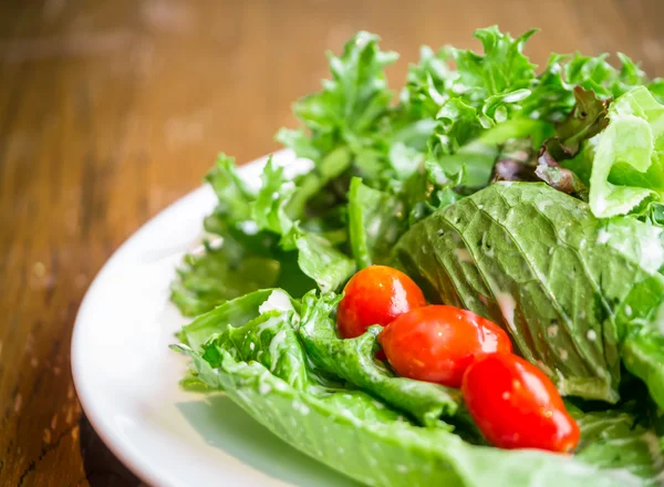 Plantaardige salade, schoon en gezond voedsel — Stockfoto