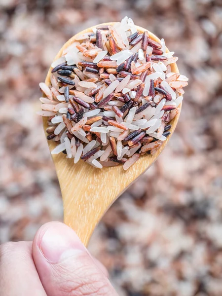 Makro çekim karışık çiğ pirinç — Stok fotoğraf