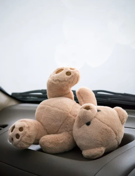 Teddy bear in car