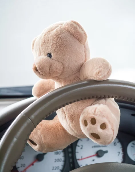 Medvídek v autě — Stock fotografie