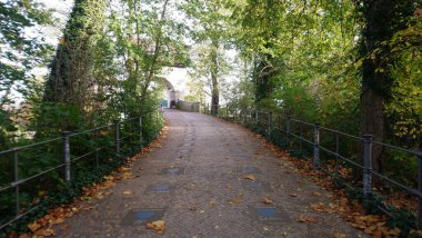 Ormanda köprü kurmanın taş yolu